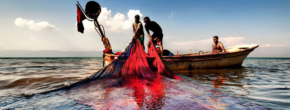 Reti da pesca dell&#039;HDPE